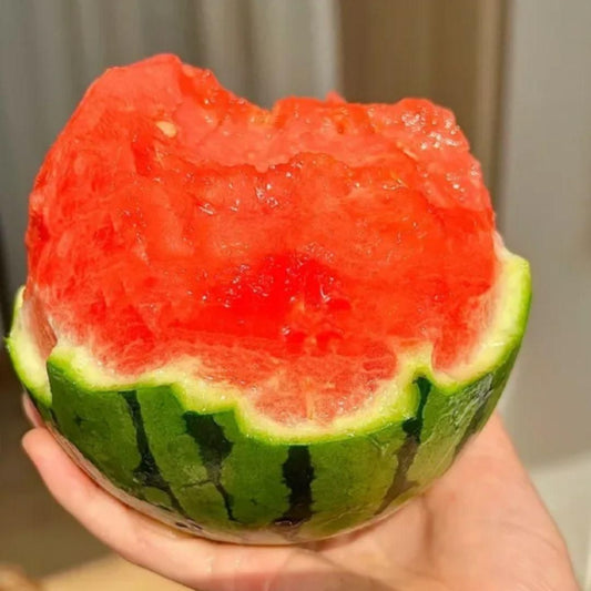 RubyHarvest Watermelon Seeds
