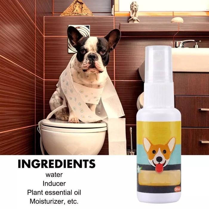 Natural Potty Training Spary for Dog & Cat (Buy 1 Get 1 Free 😍) 30ml each