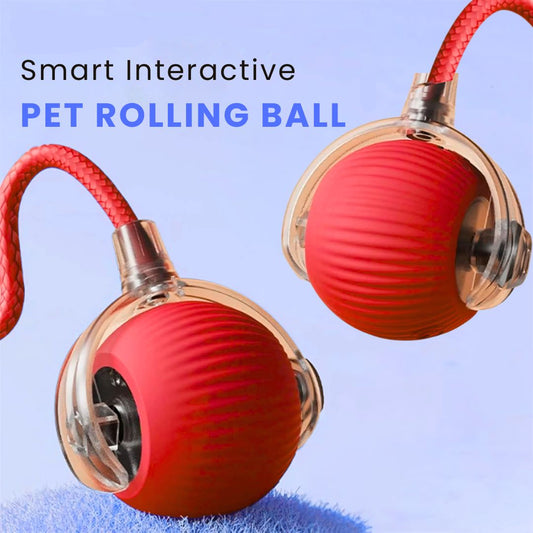 Interactive Pet Play Ball