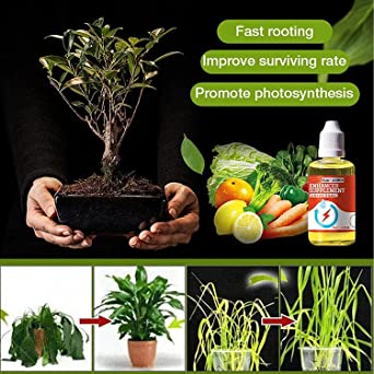 BloomUp™️ Plant Growth Supplement