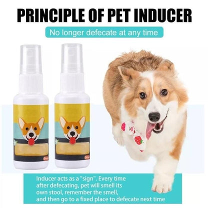 Natural Potty Training Spary for Dog & Cat (Buy 1 Get 1 Free 😍) 30ml each