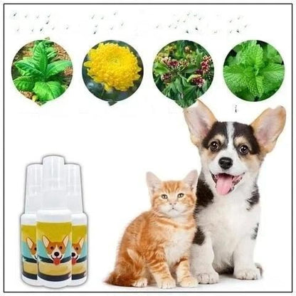 Natural Potty Training Spary for Dog & Cat (Buy 1 Get 1 Free 😍) 30ml each