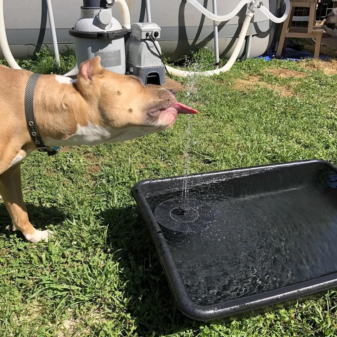 Solar Water Fountain