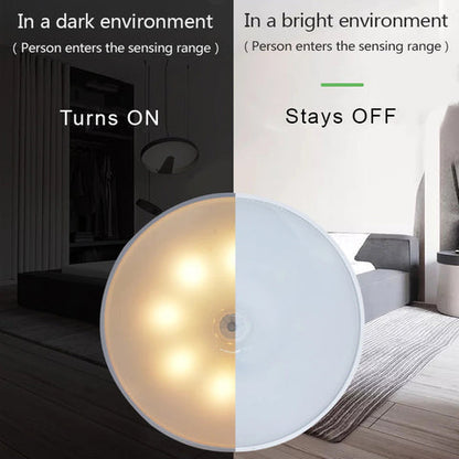 Motion Sensor Light