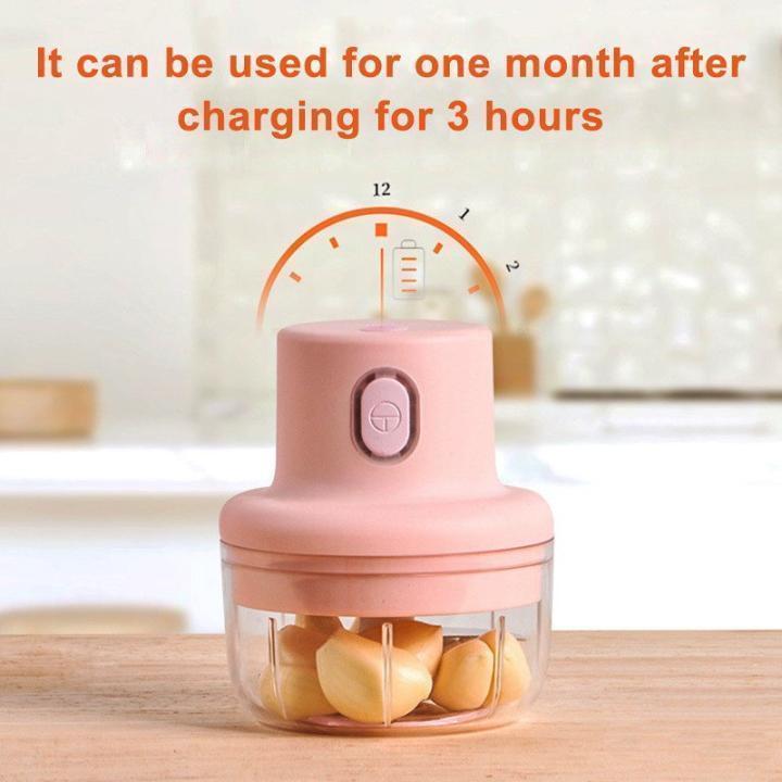 Premium Mini Food Chopper